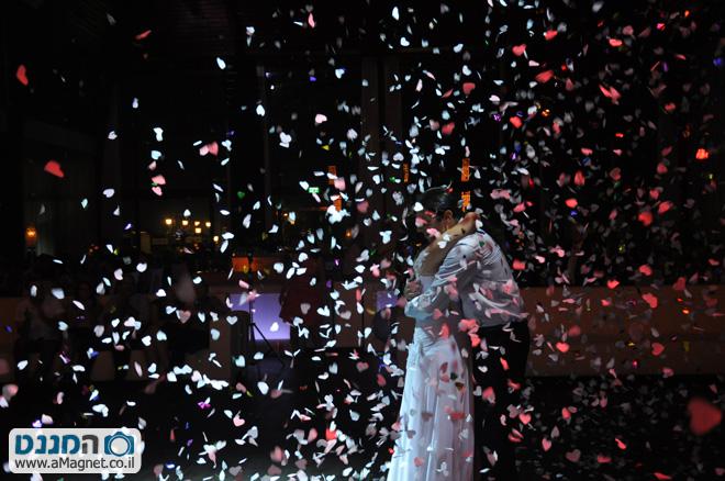 תמונה גדולה